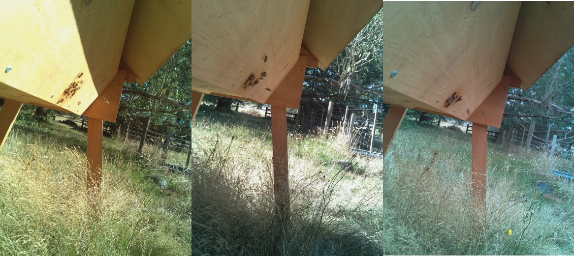 Подсчёт пчёл нейросетью на Raspberry Pi - 7 Подсчёт пчёл нейросетью на Raspberry Pi - 7