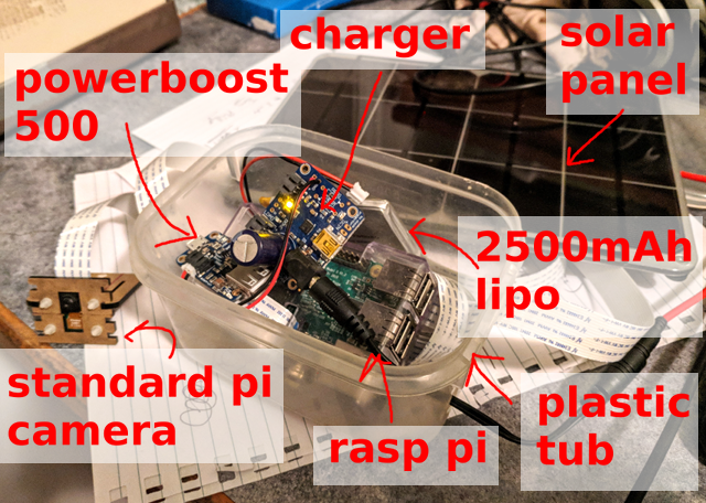 Подсчёт пчёл нейросетью на Raspberry Pi - 1