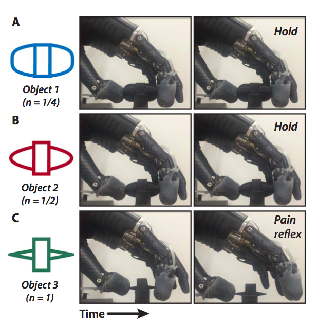 В Университете Джонса Хопкинса создали искусственную кожу, которая чувствует боль - 3 В Университете Джонса Хопкинса создали искусственную кожу, которая чувствует боль - 3