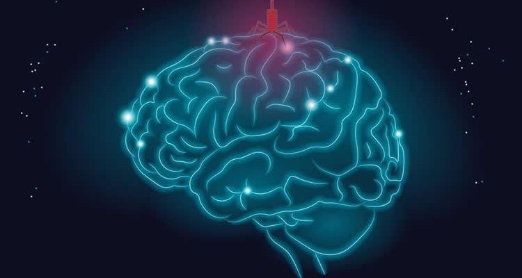 Герпес связали с болезнью Альцгеймера Герпес связали с болезнью Альцгеймера