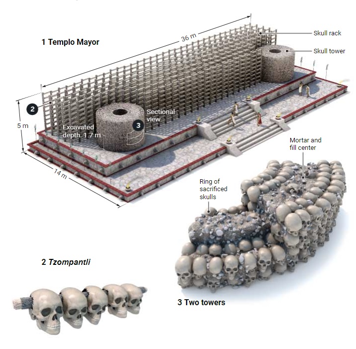 В Мексике обнаружено колоссальное хранилище черепов: кровавая религия ацтеков