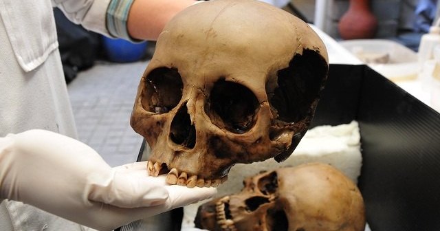 В Мексике обнаружено колоссальное хранилище черепов: кровавая религия ацтеков В Мексике обнаружено колоссальное хранилище черепов: кровавая религия ацтеков