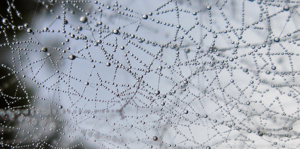 Mesh-сети на Wi-Fi: почему в Wi-Fi Alliance предложили свой стандарт - 2