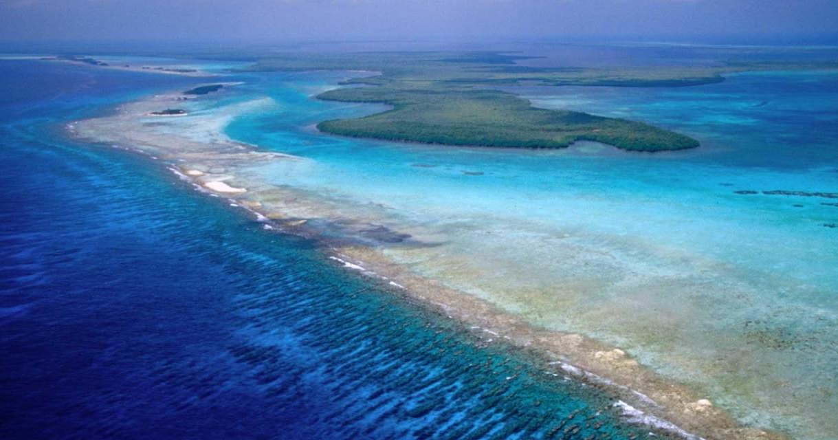 В Белизе спасли от разрушения коралловые рифы В Белизе спасли от разрушения коралловые рифы