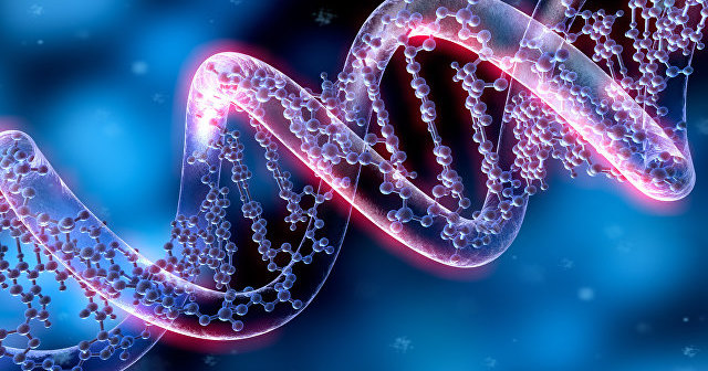 Генная терапия поможет в лечении инфаркта миокарда