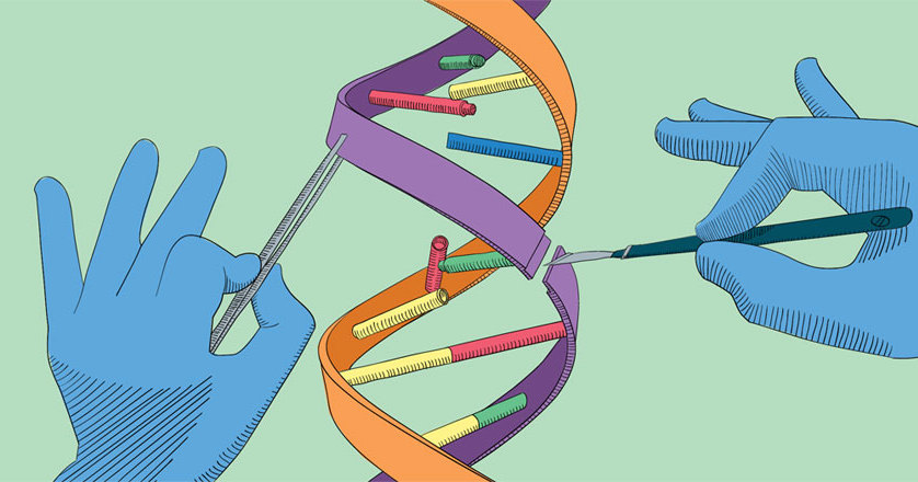 Контроль генных модификаций: самый простой способ в мире