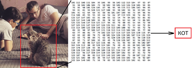Распознавание товаров на полках с помощью нейронных сетей на технологиях Keras и Tensorflow Object Detection API - 13 Распознавание товаров на полках с помощью нейронных сетей на технологиях Keras и Tensorflow Object Detection API - 13