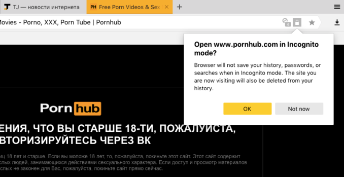 &laquo;Яндекс.Браузер&raquo; предлагает анонимный режим посетителям порносайтов