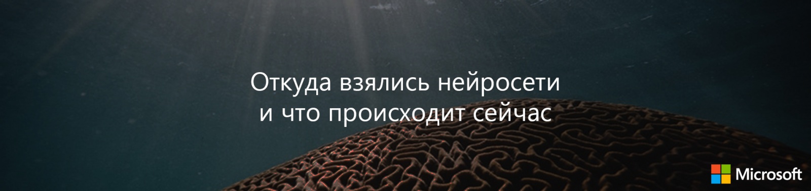 Откуда взялись нейросети и что происходит сейчас - 1