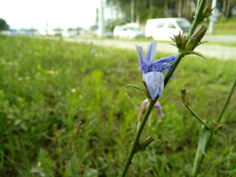 Обзор Vertex Impress Play: тонкий корпус + батарея на 5 000 мАч + неплохие камеры на 16 Мп - 24 Обзор Vertex Impress Play: тонкий корпус + батарея на 5 000 мАч + неплохие камеры на 16 Мп - 24