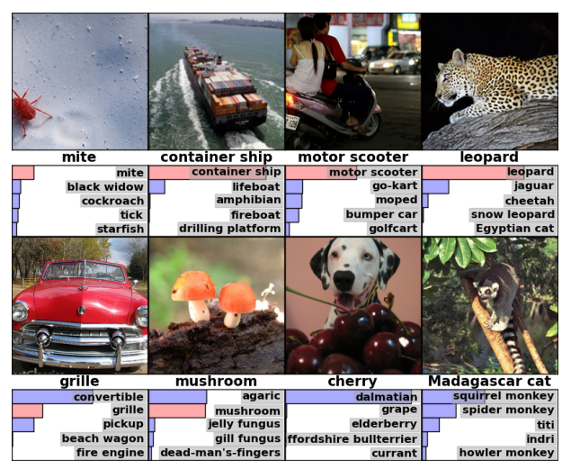 Принцип работы свёрточной нейронной сети. Просто о сложном - 15 Принцип работы свёрточной нейронной сети. Просто о сложном - 15