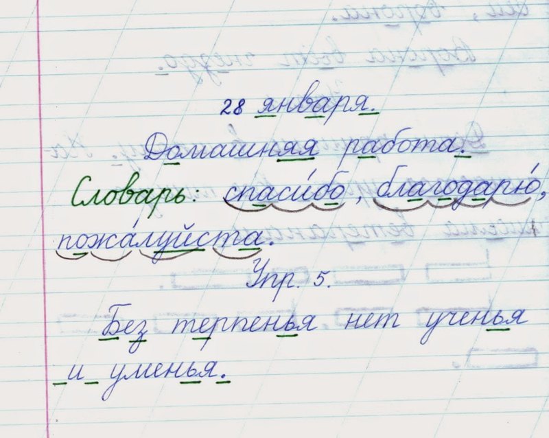 10 очевидных фактов, подтвержденных учеными