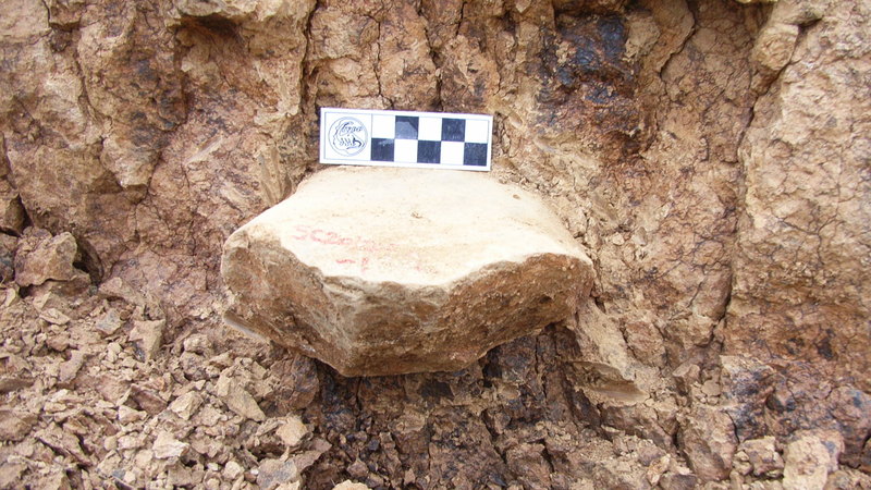 Найдено древнейшее свидетельство жизни человека за пределами Африки