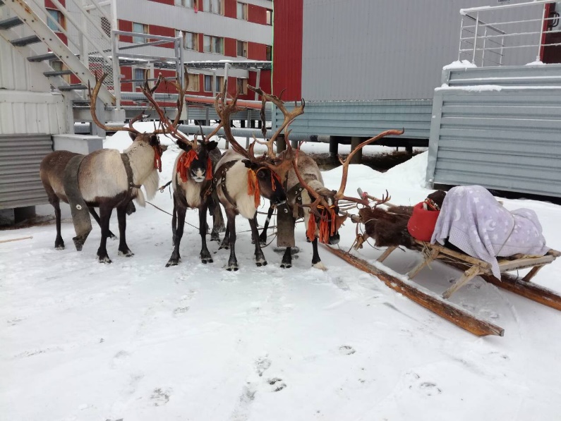 Север, воля, надежда, страна без границ (с), или Как делаются проекты в суровых сибирских условиях - 16 Север, воля, надежда, страна без границ (с), или Как делаются проекты в суровых сибирских условиях - 16