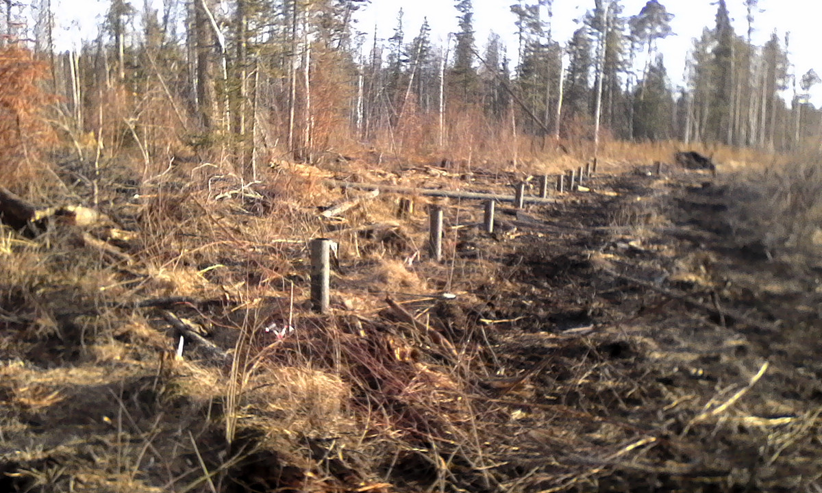 Север, воля, надежда, страна без границ (с), или Как делаются проекты в суровых сибирских условиях - 4 Север, воля, надежда, страна без границ (с), или Как делаются проекты в суровых сибирских условиях - 4