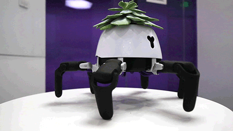 Умный робот-горшок: что будет, если растение отрастит ноги