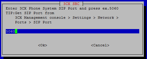 Установка пограничного контроллера сессий 3CX SBC на Windows, Raspberry Pi или Debian 9 - 8