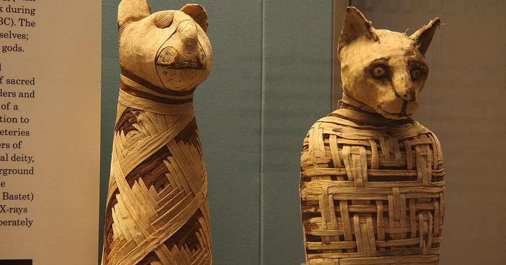 В Египте нашли «фабрику мумий»