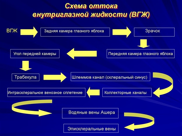 Схема оттока внутриглазной жидкости