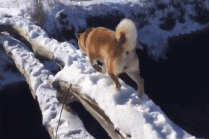 Как мы перебанили обычных игроков и заDDoSили свои сервера: практическое руководство - 2 Как мы перебанили обычных игроков и заDDoSили свои сервера: практическое руководство - 2