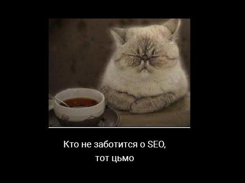 О чем должен помнить веб-разработчик, чтобы сделать всё по SEO-феншую - 1