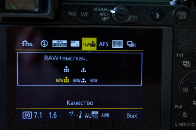 Новая статья: Обзор беззеркальной фотокамеры Panasonic GX9: перемена курса