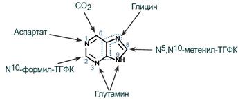 Вирусы продлевают жизнь? - 4