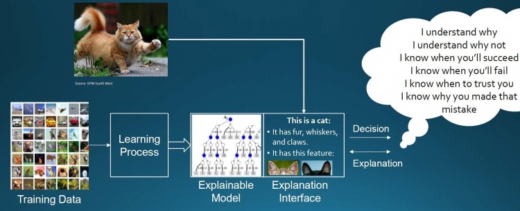 DARPA примется совершенствовать искусственный интеллект