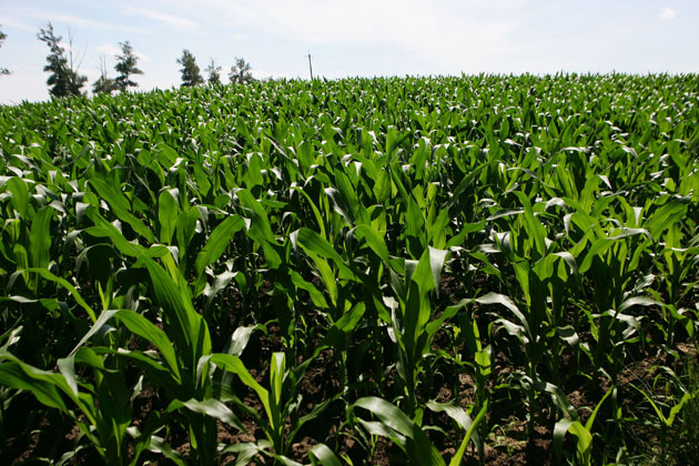 Что нам дала космонавтика? - 33 Что нам дала космонавтика? - 33