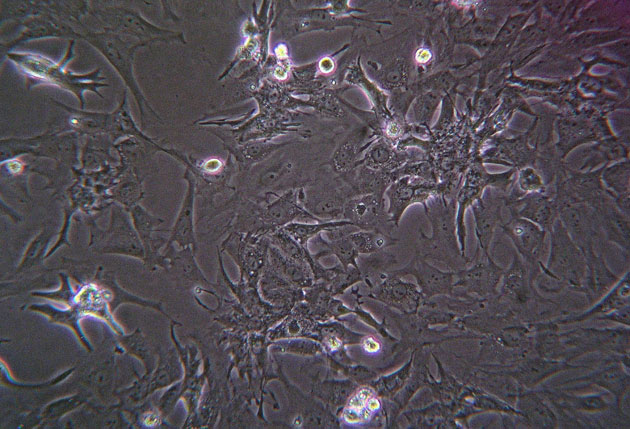 Что нам дала космонавтика? - 34 Что нам дала космонавтика? - 34