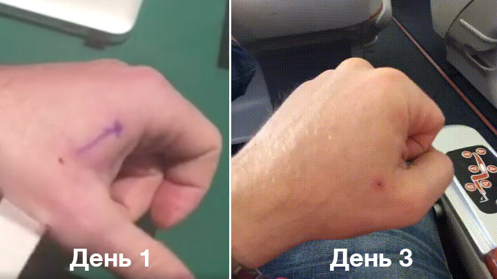 «Кто вчера был монопольным гигантом, завтра может стать никем». Интервью с Евгением Черешневым из Biolink.Tech - 17 «Кто вчера был монопольным гигантом, завтра может стать никем». Интервью с Евгением Черешневым из Biolink.Tech - 17