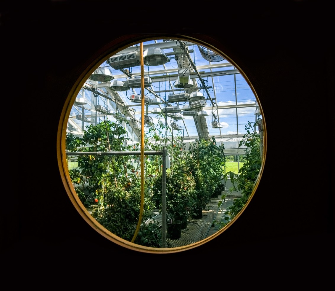 Crispr может ускорить природные процессы и изменить способы выращивания еды - 4 Crispr может ускорить природные процессы и изменить способы выращивания еды - 4