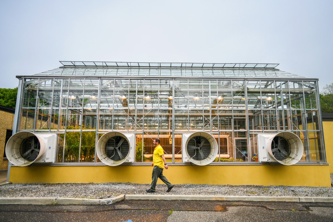 Crispr может ускорить природные процессы и изменить способы выращивания еды - 8 Crispr может ускорить природные процессы и изменить способы выращивания еды - 8