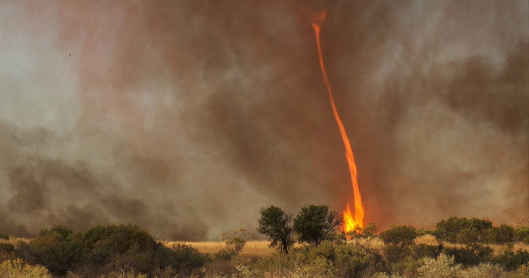 Чем опасны огненные торнадо: разрушительный пожар в Калифорнии