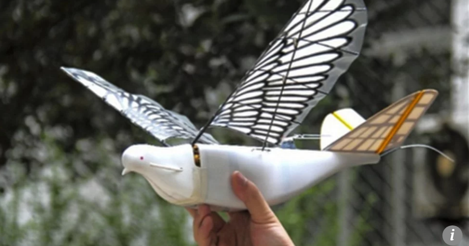 В Китае испытывают шпионские дроны, неотличимые от птиц