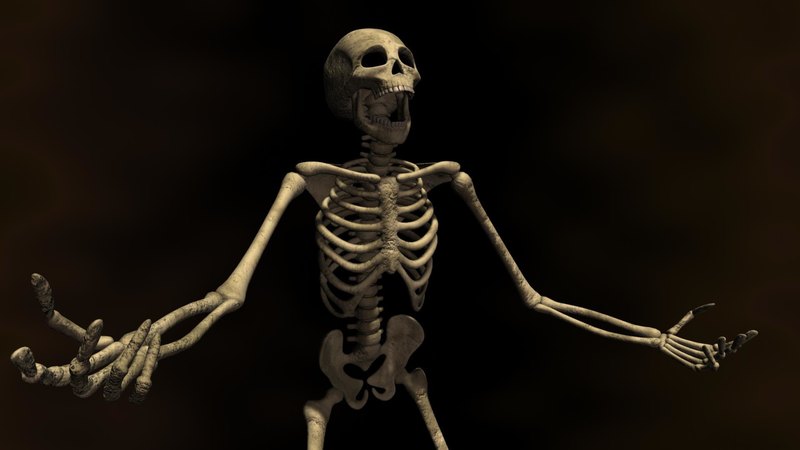 9 интересных фактов о человеческом скелете