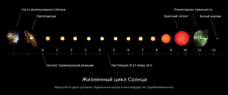 Сверхновые нейтрино. Как они рождаются, как мы их ждем, и почему это интересно - 2