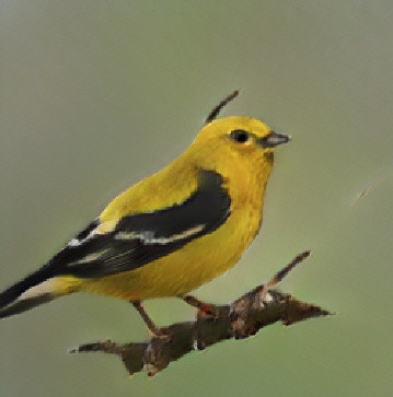 Революцию в ИИ произведут не дроиды, а тостеры - 2 Революцию в ИИ произведут не дроиды, а тостеры - 2