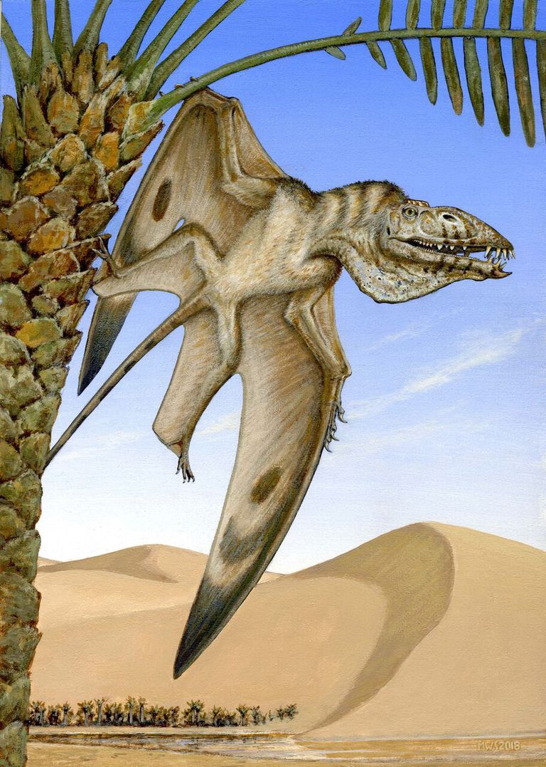 Самый древний птерозавр был похож на пеликана - 2
