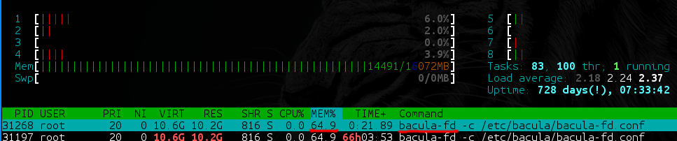 Теория и практика бэкапов с Borg - 2 Теория и практика бэкапов с Borg - 2