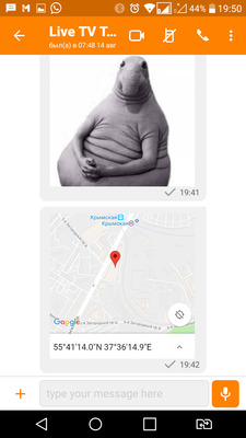 Видеонаблюдение с использованием смартфона — плюсы и минусы - 2 Видеонаблюдение с использованием смартфона — плюсы и минусы - 2