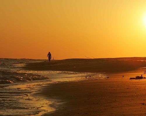 AI, практический курс. Базовая модель распознавания эмоций на изображениях - 6 AI, практический курс. Базовая модель распознавания эмоций на изображениях - 6