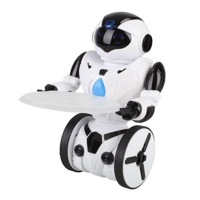 Домашние роботы: что можно купить. Обзор доступных коммерческих роботов для дома - 12
