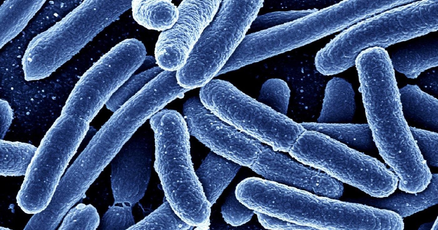 Уточнен возраст жизни на Земле Уточнен возраст жизни на Земле