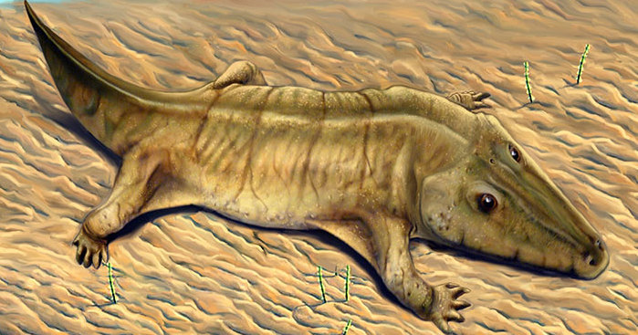 Самарские геологи нашли череп ветлугазавра