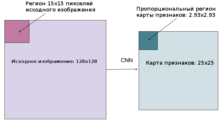 Mask R-CNN: архитектура современной нейронной сети для сегментации объектов на изображениях - 24