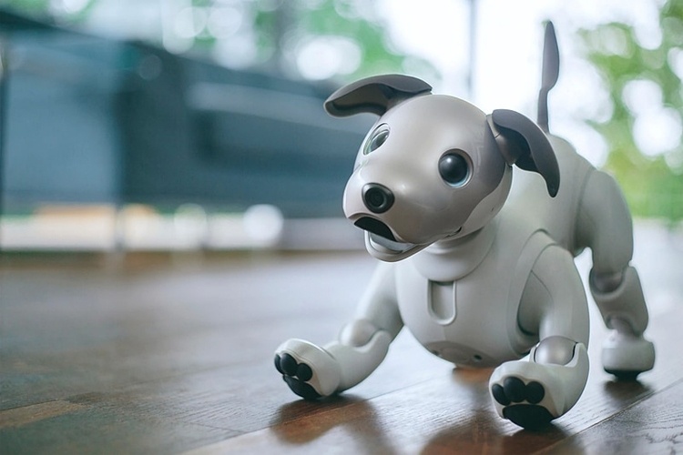 Робопёс Sony Aibo поступит в магазины США в сентябре