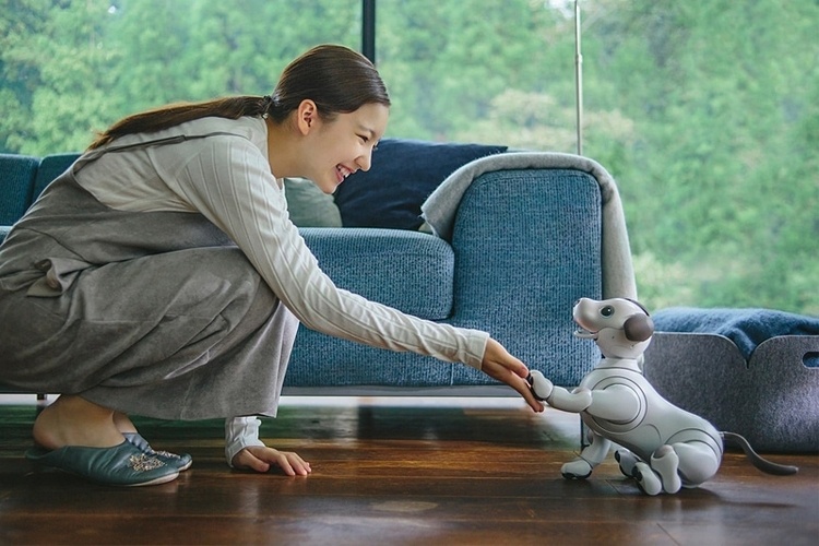 Робопёс Sony Aibo поступит в магазины США в сентябре