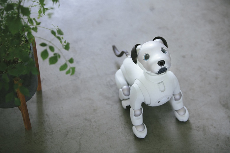 Новый робот-собака Sony Aibo выходит за пределы Японии - 2