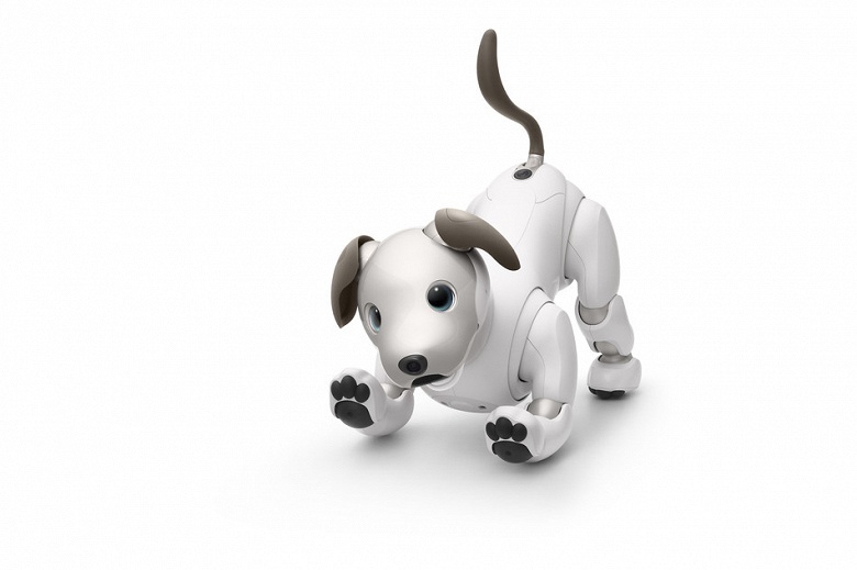 Новый робот-собака Sony Aibo выходит за пределы Японии - 1